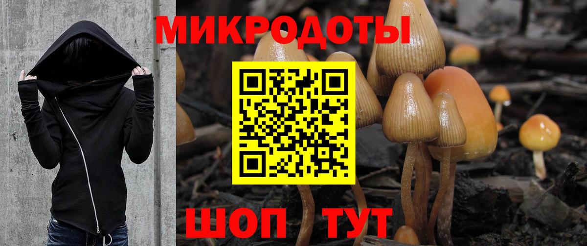Галлюциногенные грибы Psilocybe  Вход с VPN  Галлюциногенные грибы GOLDEN TEACHER  Каспийск 